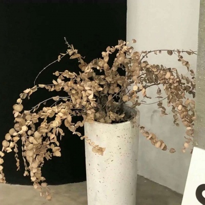 Furry角色互动设计兽圈群